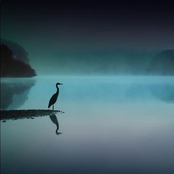 Meet your Posher, Ayshe - Picture 1 of 1